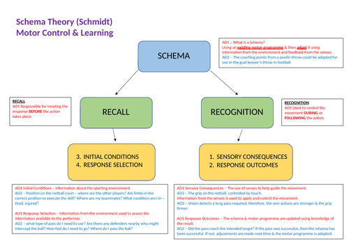 AQA A-Level PE Schema Theory | Teaching Resources
