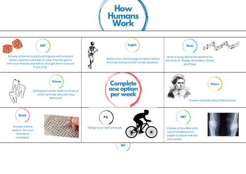 How Humans Work - Homework Sheet