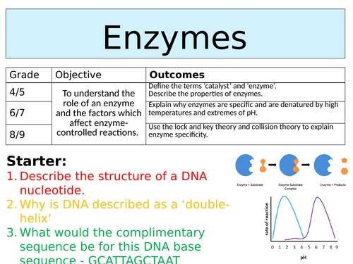 OCR GCSE (9-1) Biology - Enzyme & Enzyme Reactions