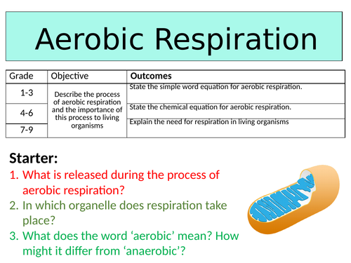 OCR GCSE (9-1) Biology - Aerobic Respiration