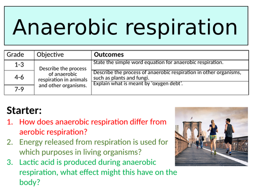 OCR GCSE (9-1) Biology - Anaerobic Respiration
