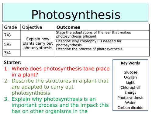 OCR GCSE (9-1) Biology - Photosynthesis