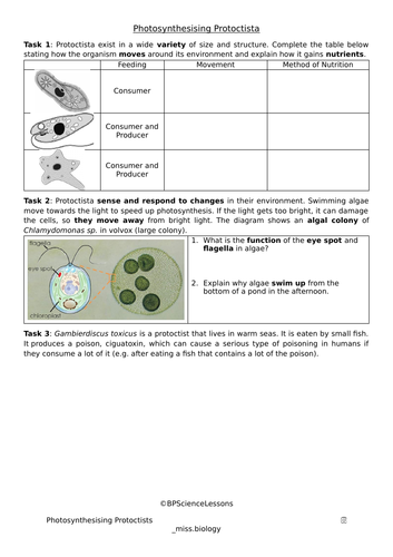 Photosynthesising Protoctista / Protists Microorganisms Worksheet - 8Dd Exploring Science - SAMPLE