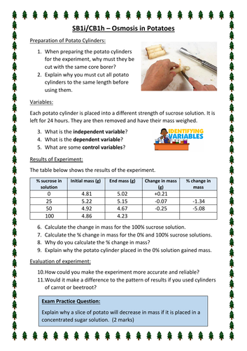 SB1i/CB1h - Osmosis Core Practical (Edexcel)