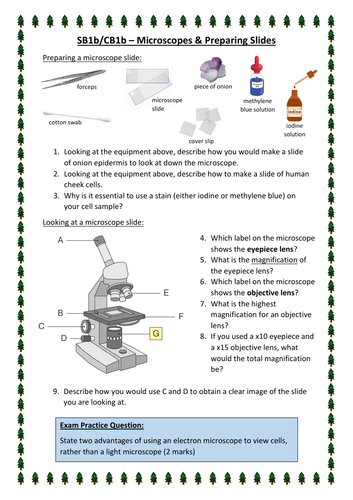 Core Practicals - Edexcel Biology Paper 1 (BUNDLE)