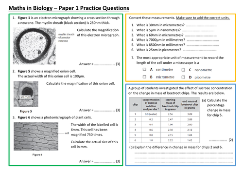 Maths in Biology - Edexcel GCSE Biology Paper 1