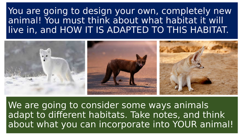 Adaptations to the environment science biology animals lesson designing an animal