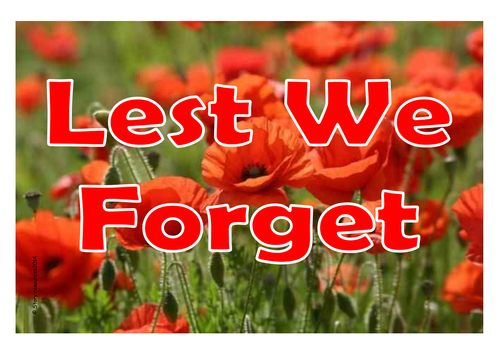 REMEMBRANCE DAY TEACHING RESOURCE FESTIVALS EYFS KS1