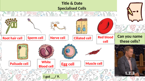 CB1c - Specalised Cells Part 2