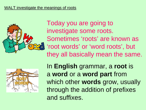Y6 SPELLING ROOTS