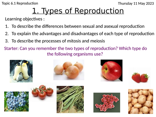 Sexual and Asexual Reproduction GCSE