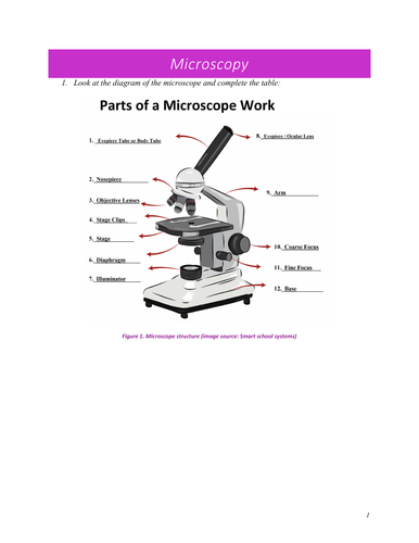 Microscopy