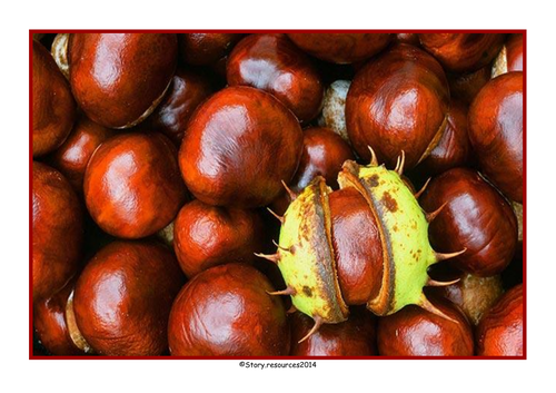 AUTUMN POSTERS DISPLAY WRITING SHEETS AND AUTUMN HEADER EYFS KS1