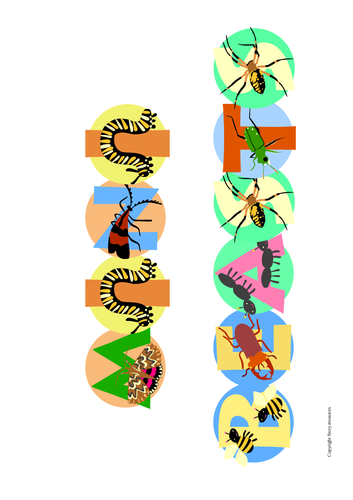 MINIBEAST POSTERS X 13 HEADER FOR DISPLAY  IDENTIFICATION CARD POSTER UNDERSTANDING THE WORLD EYFS