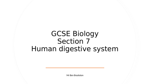 Human digestion system