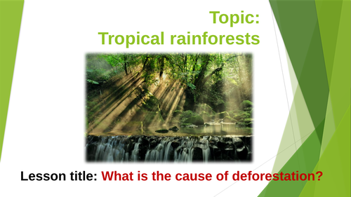 Causes of Deforestation