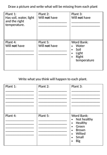 What Plants Need To Grow Worksheet (Year 2)