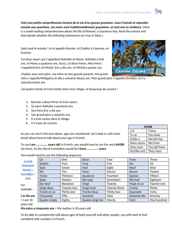 French Reading Comprehension - Family Members