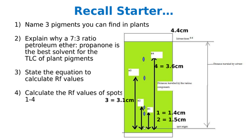 Aim C L5 Practising TLC of Plant Pigments | Teaching Resources