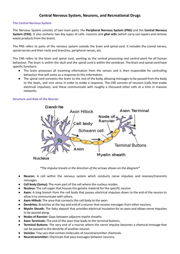 EDEXCEL AS/AL BIO. PSYCH: CNS, Neurons, and Drugs - Study Notes