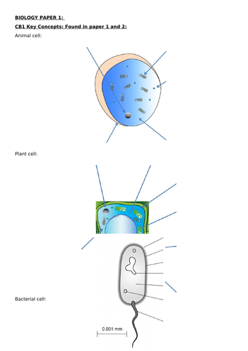 Edexcel GCSE Biology Paper 1 Recall Workbook