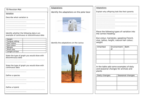 Exploring Science Revision Mats Year 7