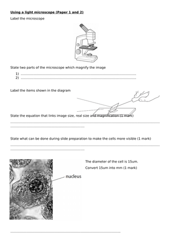 Edexcel GCSE Core practical revision sheets