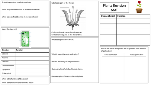 Plants revision MAT (4 pages in total, 2 pages of questions + 2 pages of answers)