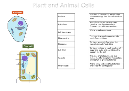 BTEC L3 Applied Science Unit 1 Biology