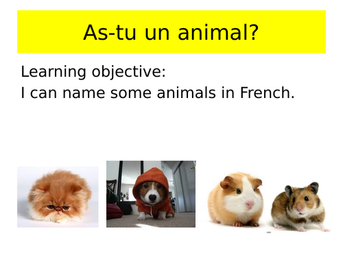 French animals/ pets lesson