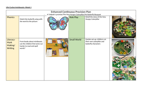 Minibeasts Continuous Provision Plan Bundle