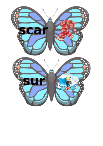 Butterfly word and picture match