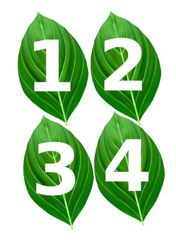 1-10 numbered leaves