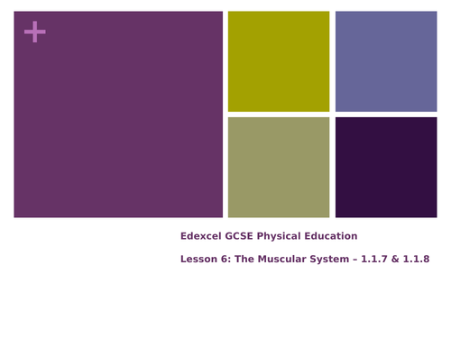 Muscular System - Lesson 6, 7 & 8