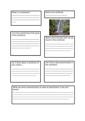 Rainforest worksheet