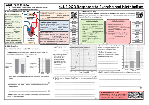 Response to Exercise and Metabolism [foundation tier]