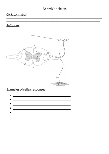 Paper 2 IGCSE edexcel revision