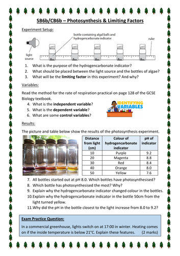 SB6b/CB6b - Photosynthesis Core Practical (Edexcel)