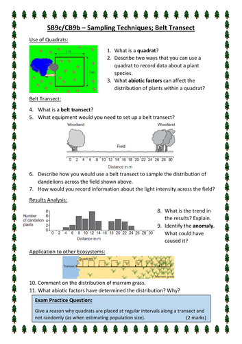 SB9c/CB9b - Sampling & Quadrats Core Practical (Edexcel)