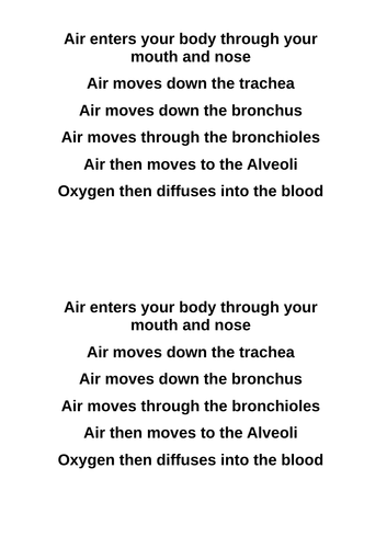 Respiratory system