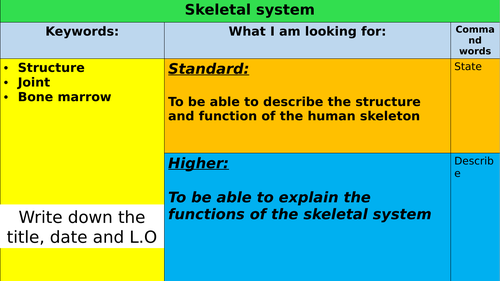 Skeletal system