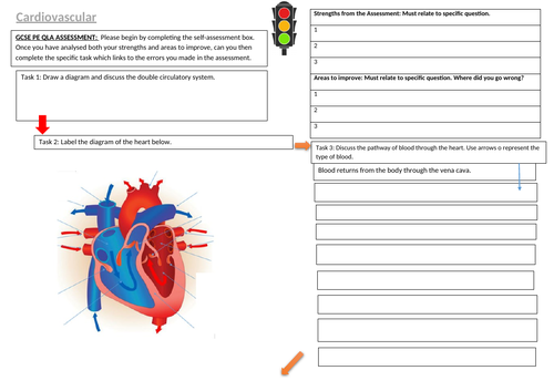 GCSE PE Cardiovascular  Worksheet and QLA x2