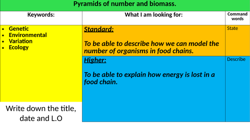 Pyramids of number and biomass