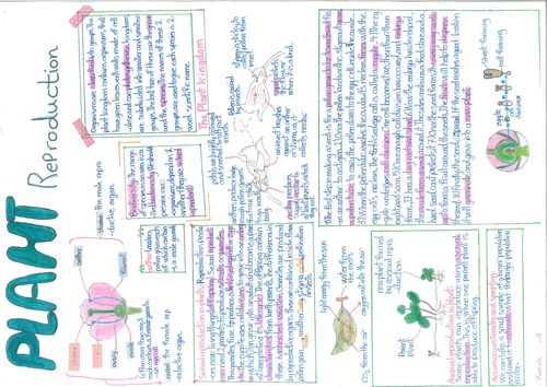 8B - Plant Reproduction Poster