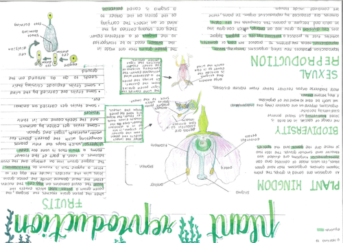 8B Plant Reproduction Poster