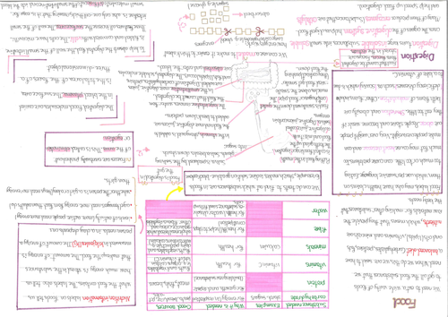 8A - Food and nutrition poster