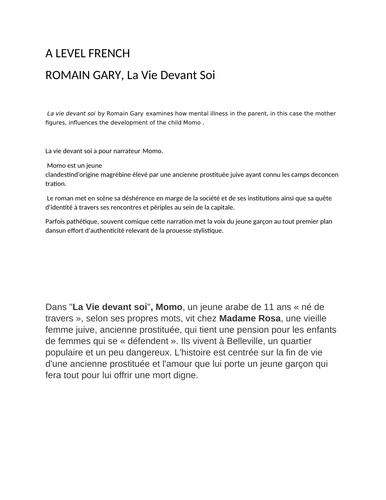 ROMAIN GARY, La Vie Devant Soi; A LEVEL FRENCH REVISION NOTES including exam questions