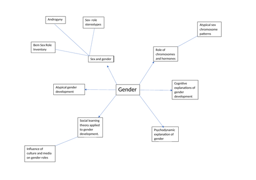 Gender- A-Level Psychology AQA