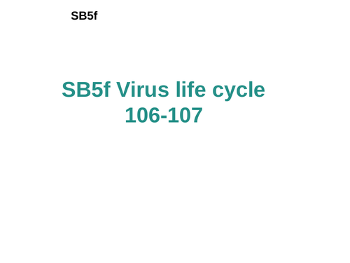 Virus life cycle edexcel gcse sb5f