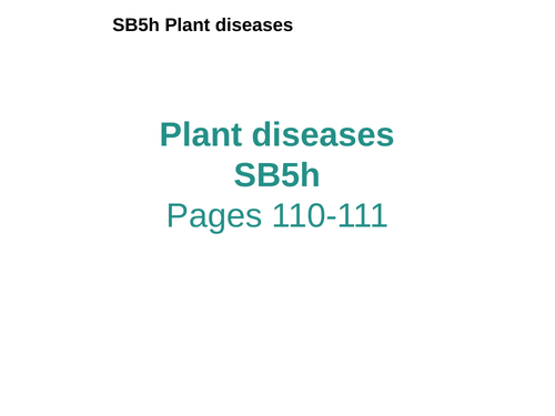 Plant Diseases SB5h Edexcel GCSE
